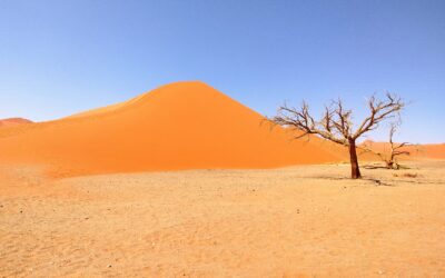 Namibia: Tips for a Great Trip